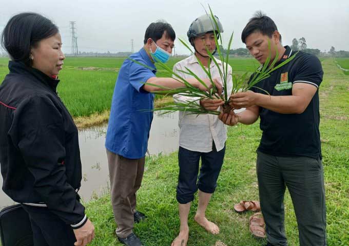 Hạn chót nộp hồ sơ Cuộc thi Sáng kiến Khoa học 2024 là ngày 31/3