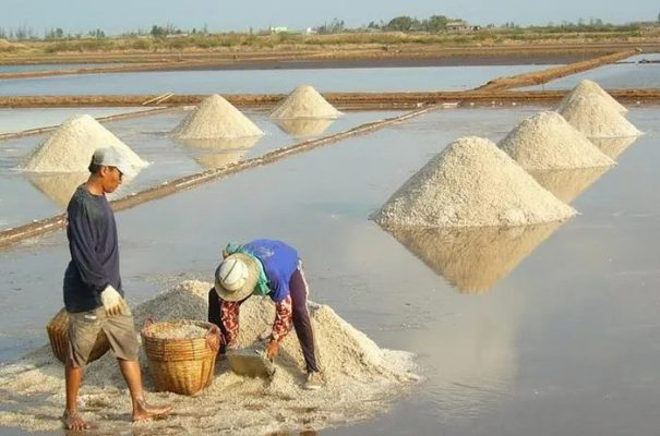 Người làm muối thành tỷ phú ở Bạc Liêu