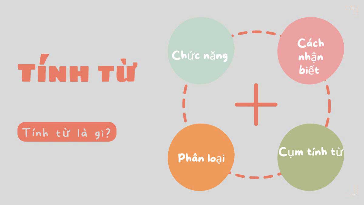 Tính từ là gì?