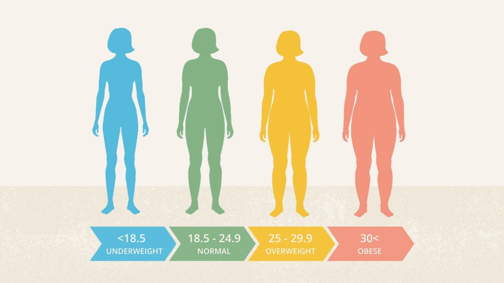 Bmi là gì?