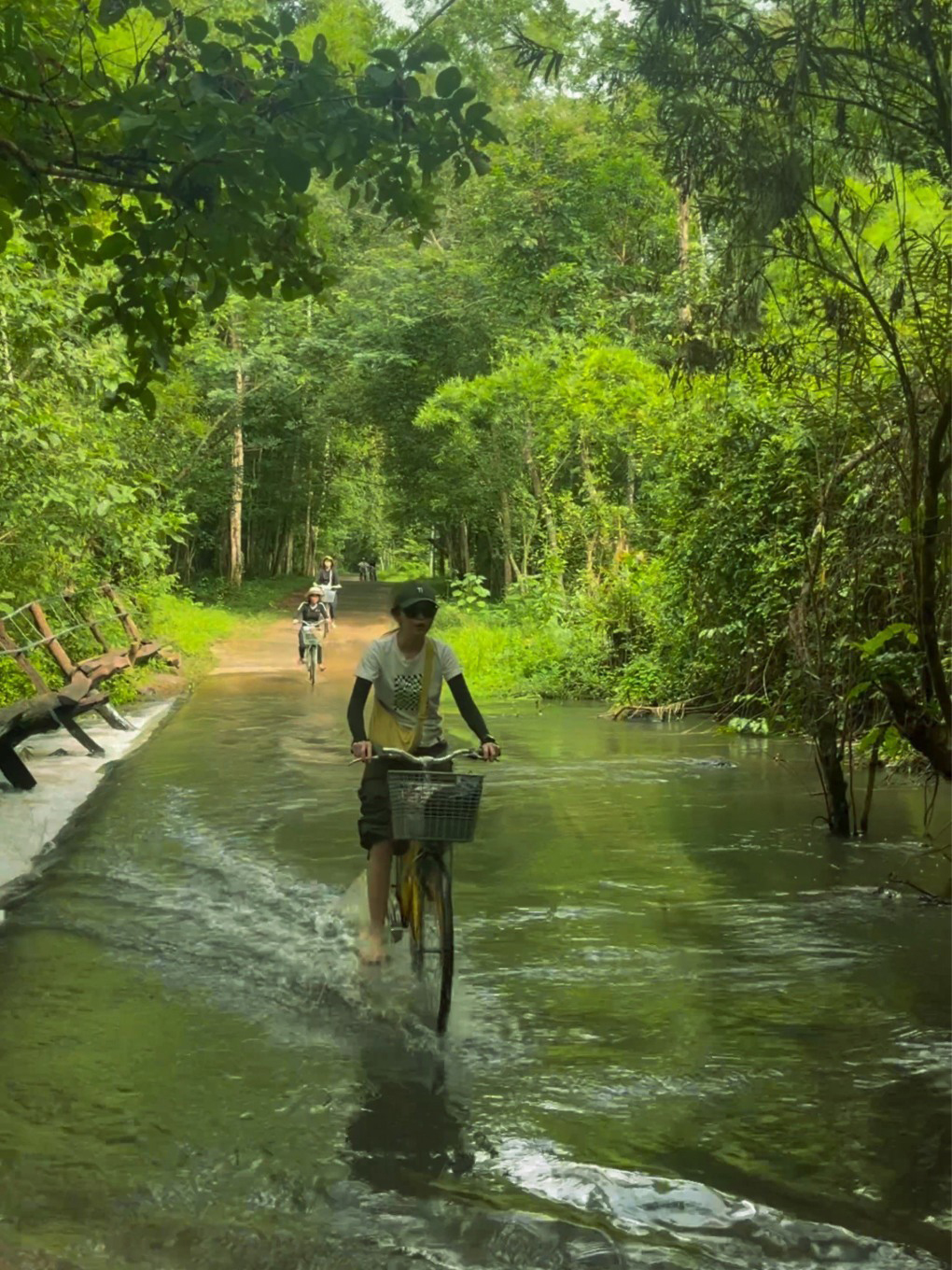 Rừng Cát Tiên đông khách mùa mưa