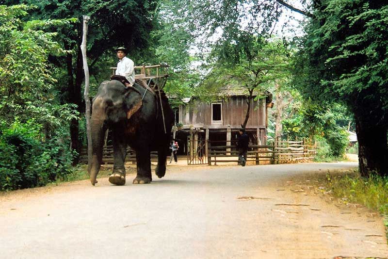 Top 14 Địa điểm du lịch đẹp hút hồn ở thành phố Buôn Ma Thuột, Đắk Lắk