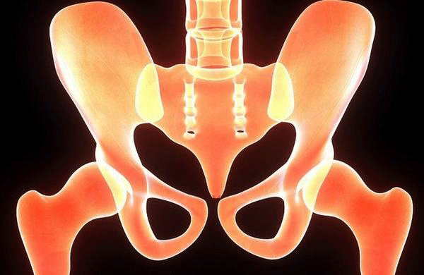 Làm sao để biết xương chậu rộng hay hẹp?