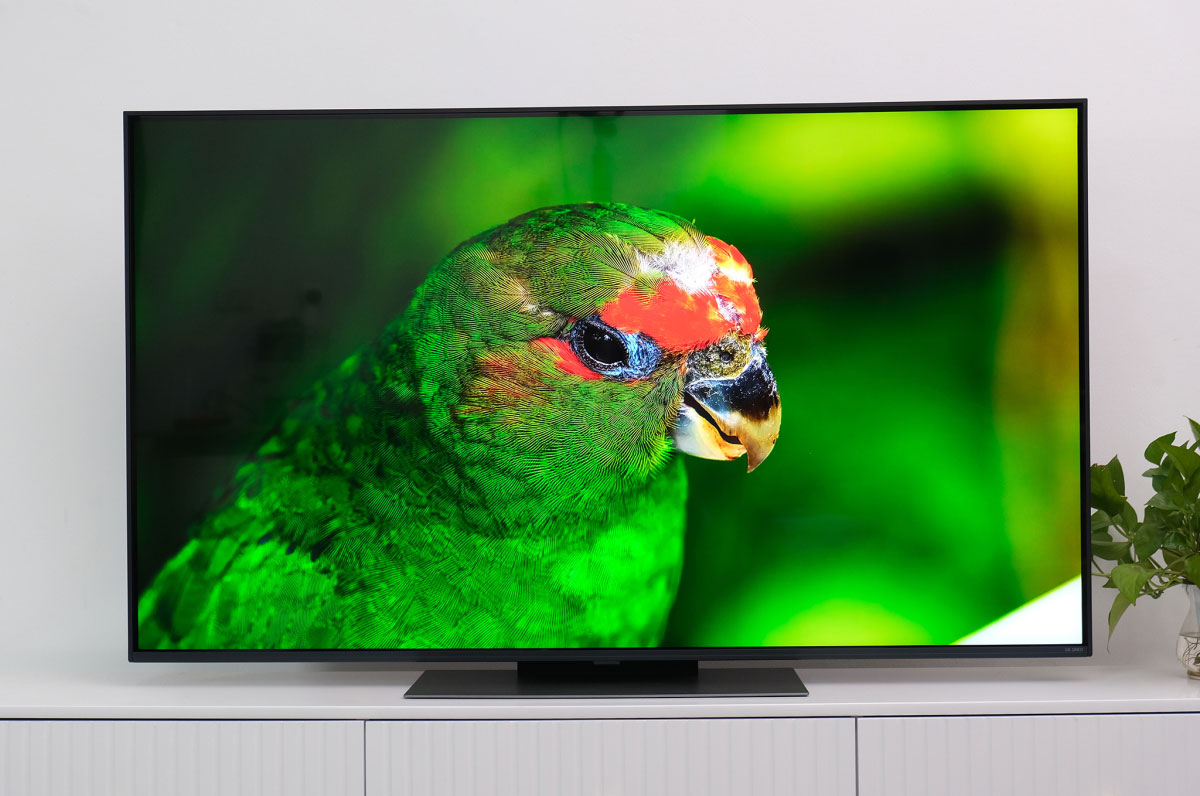 Đánh giá LG QNED86TSA 2024: TV chấm lượng tử giá rẻ và chất lượng hình ảnh ấn tượng