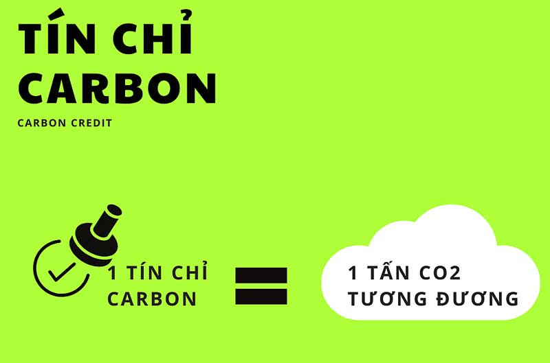 Tín chỉ carbon là gì?