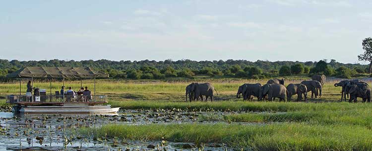 Khám phá quốc gia Botswana