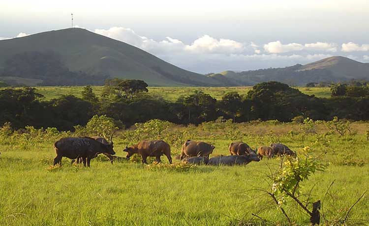 Khám phá quốc gia Gabon