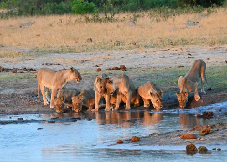 Khám phá quốc gia Zimbabwe