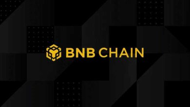 BNB Chain cập nhật ưu tiên giao dịch memecoin giữa bùng nổ phí gas