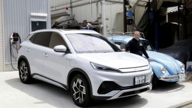 BYD hợp tác bán tín chỉ carbon tại châu Âu cùng Tesla và Polestar