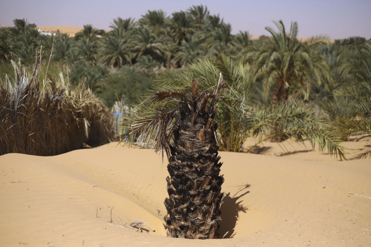 Chinguetti trong nguy cơ biến mất dưới cát từ sa mạc Sahara