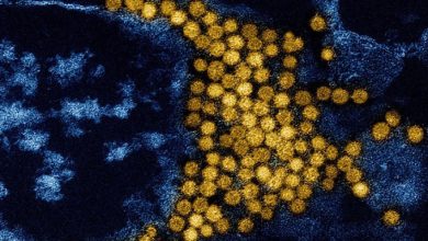 Khám Phá Hệ Virus Ở Người Qua Cuộc Nghiên Cứu AI Đột Phá