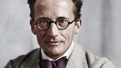 Erwin Schrödinger là ai?