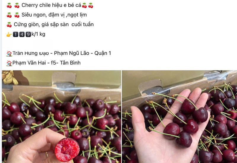 Giá cherry Chile giảm mạnh còn 149.000 đồng một kg