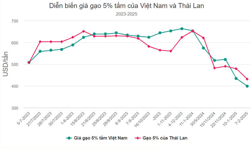 Giá lúa gạo xuất khẩu giảm mạnh nhưng vẫn cao tại TP HCM Hà Nội