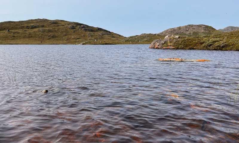 Hàng nghìn hồ Greenland chuyển nâu do thời tiết bất thường