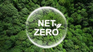 Net Zero là gì?