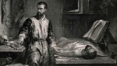 Andreas Vesalius là ai?