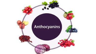 Anthocyanin là gì?