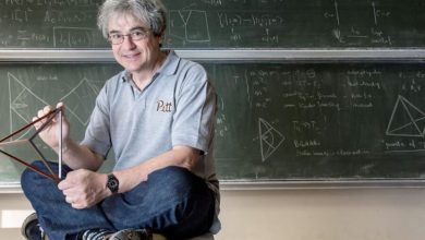 Carlo Rovelli là ai?