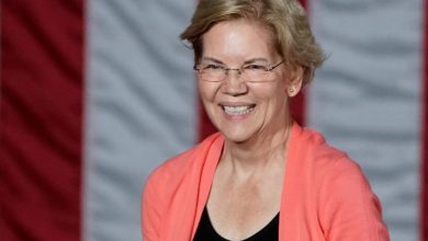 Elizabeth Warren là ai?