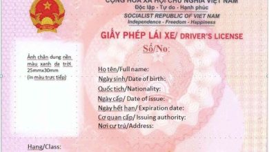 Giấy phép lái xe mới đổi màu và bổ sung tính năng hiện đại