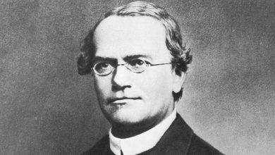 Gregor Mendel là ai?