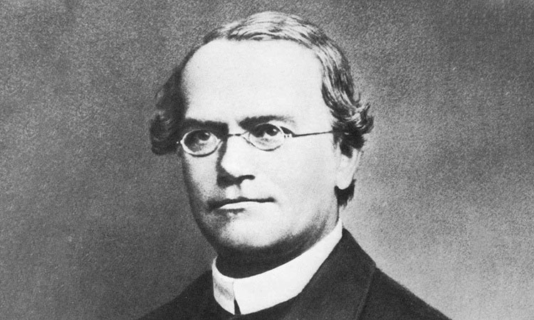 Gregor Mendel là ai?