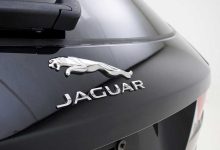 Jaguar là gì?