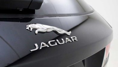 Jaguar là gì?