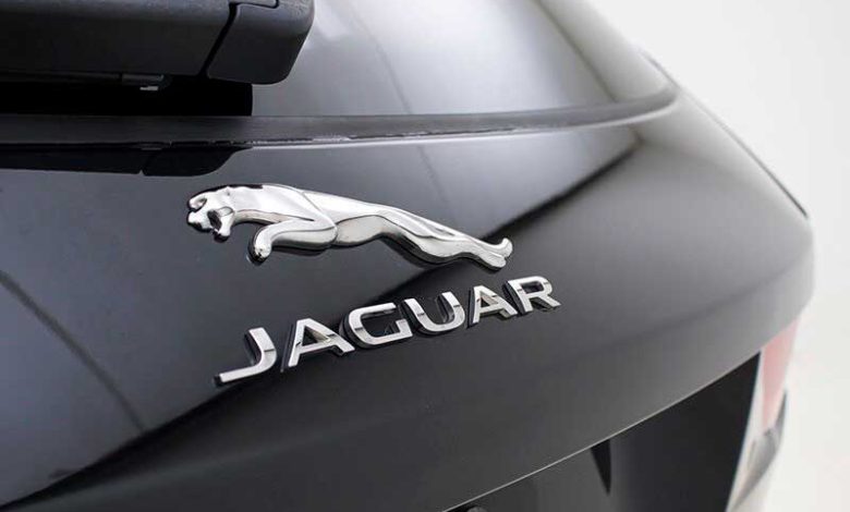 Jaguar là gì?