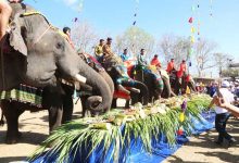 Lễ hội cà phê Buôn Ma Thuột chào mừng voi nhà trang điểm sặc sỡ