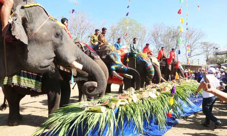 Lễ hội cà phê Buôn Ma Thuột chào mừng voi nhà trang điểm sặc sỡ