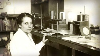 Lise Meitner là ai?