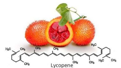 Lycopene là gì?