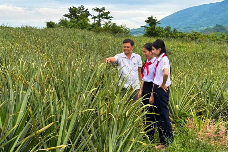 Sợi tơ lá dứa mang lại tóc giả cho bệnh nhân ung thư