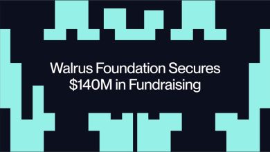 Walrus Foundation huy động 140 triệu USD phát triển lưu trữ phi tập trung