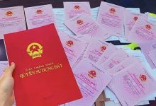 Huỳnh Tấn Hải nhận 7 năm tù vì lừa bán đất tái định cư