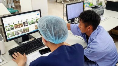 Nguy hiểm từ nấm độc: Vợ chồng hôn mê sau bữa ăn nguy hiểm