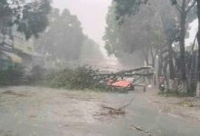 Bình Dương đột ngột mưa đá giữa cao điểm mùa khô