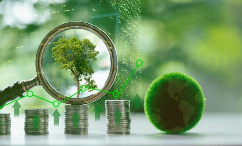 Khởi nghiệp xanh: Hành trình tìm lại chính mình sau mất mát"=