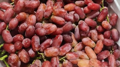 5 Loại Trái Cây Bổ Dưỡng Giúp Phòng Ngừa Ung Thư