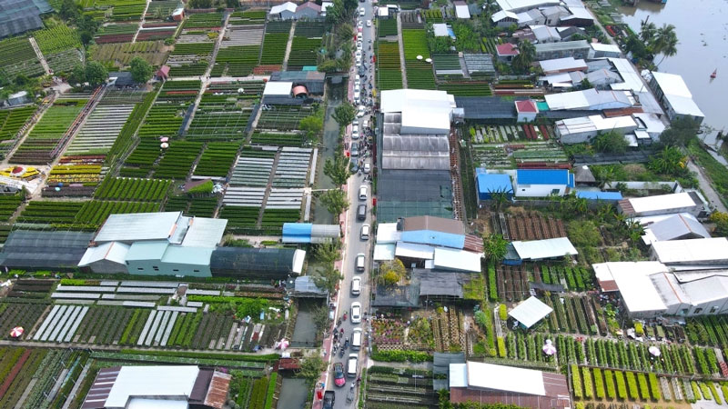 Đề xuất sắp xếp đơn vị hành chính tại Ninh Thuận, Đồng Tháp, Lâm Đồng