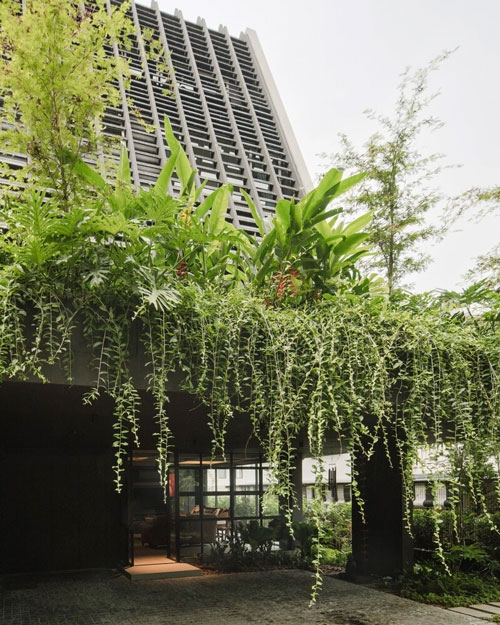 Ngôi nhà Singapore tích hợp hoàn hảo không gian thiên nhiên