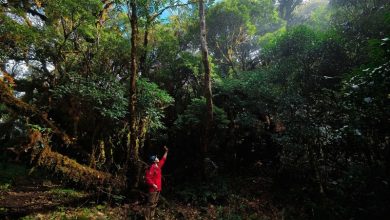 Những cung trekking tuyệt đẹp giúp bạn tránh đám đông dịp 30,4,
