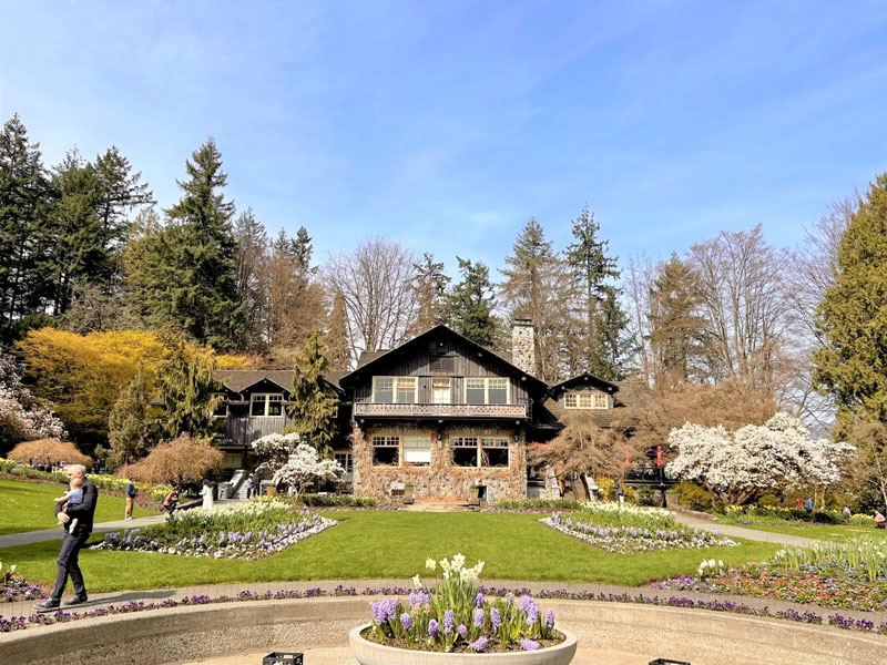 Vancouver rực rỡ mùa anh đào nở tháng 4