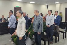 Vụ án sai phạm tại Tổng công ty Chè Cựu lãnh đạo đối mặt án tù nặng gần 40 tỷ