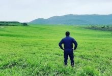 Bỏ phố về quê: Sự lựa chọn giữa mơ ước và thực tại