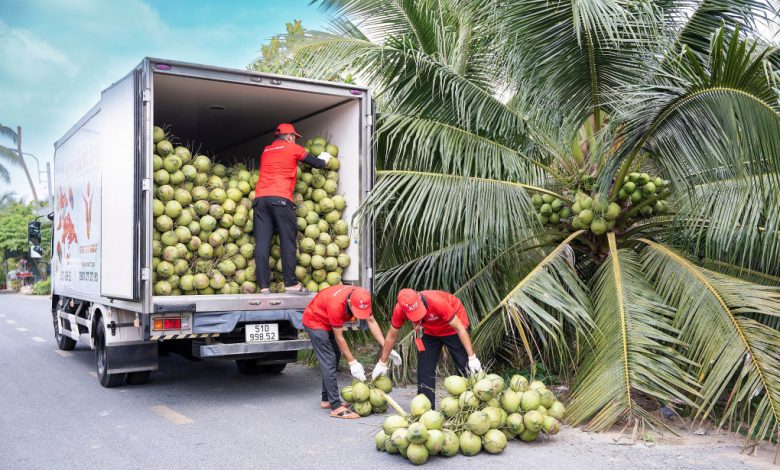 Mỹ đẩy mạnh nhập rau quả Việt trong quý I năm 2025