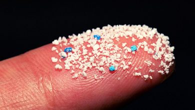 Vi nhựa có thể liên quan đến nguy cơ đột quỵ mới phát hiện